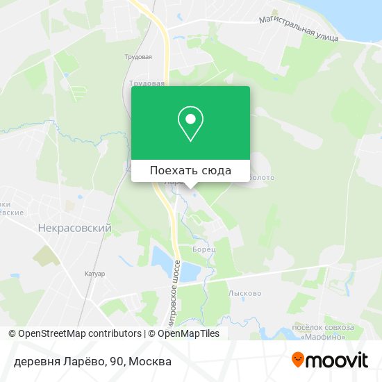 Карта деревня Ларёво, 90
