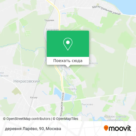 Карта деревня Ларёво, 90