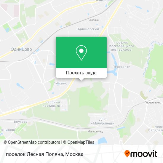 Карта поселок Лесная Поляна