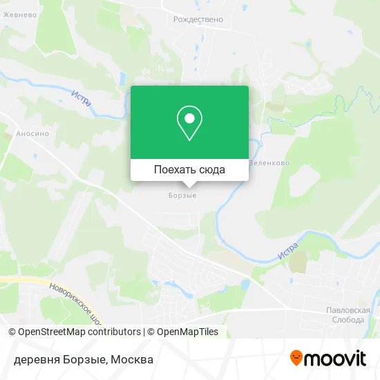Карта деревня Борзые