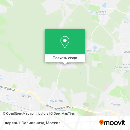 Карта деревня Селиваниха