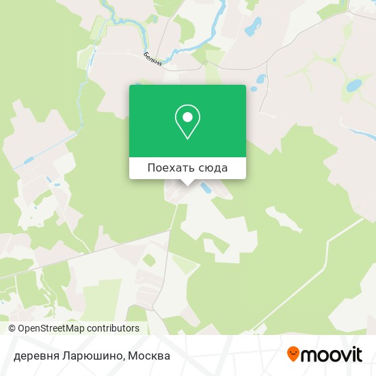Карта деревня Ларюшино
