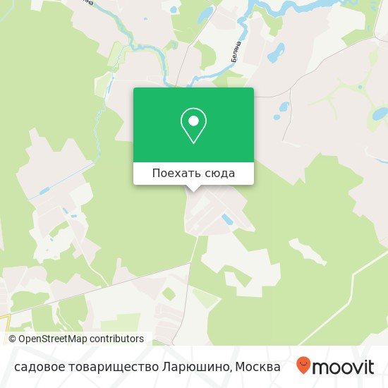 Карта садовое товарищество Ларюшино