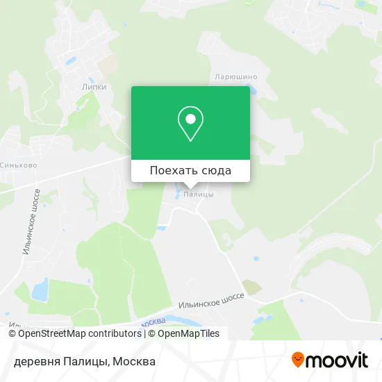 Карта деревня Палицы
