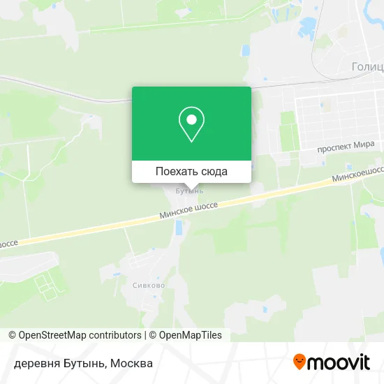 Карта деревня Бутынь