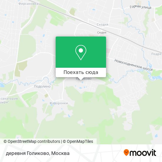 Карта деревня Голиково