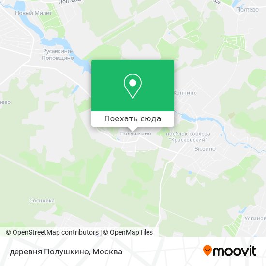 Карта деревня Полушкино