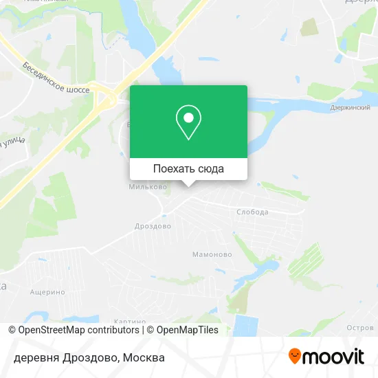 Карта деревня Дроздово