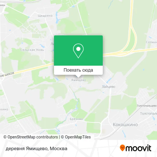 Карта деревня Ямищево