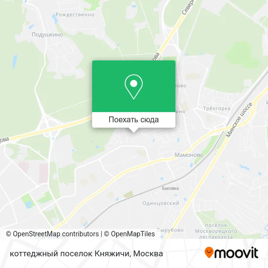 Карта коттеджный поселок Княжичи