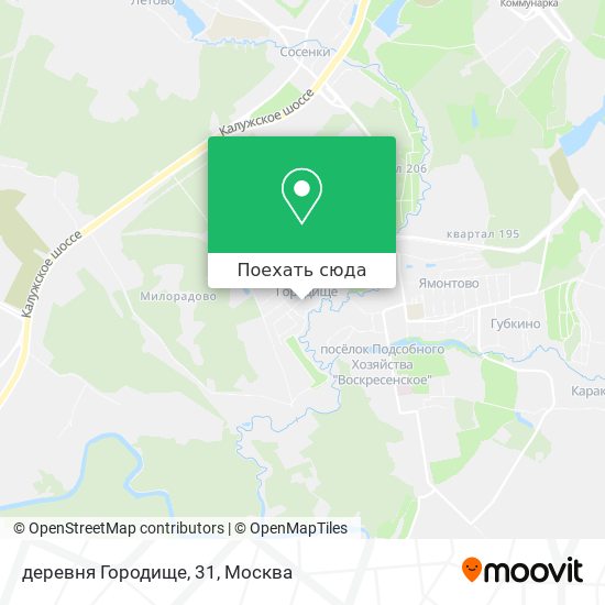 Карта деревня Городище, 31