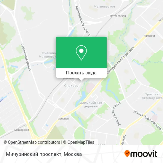Карта Мичуринский проспект