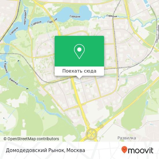 Карта Домодедовский Рынок