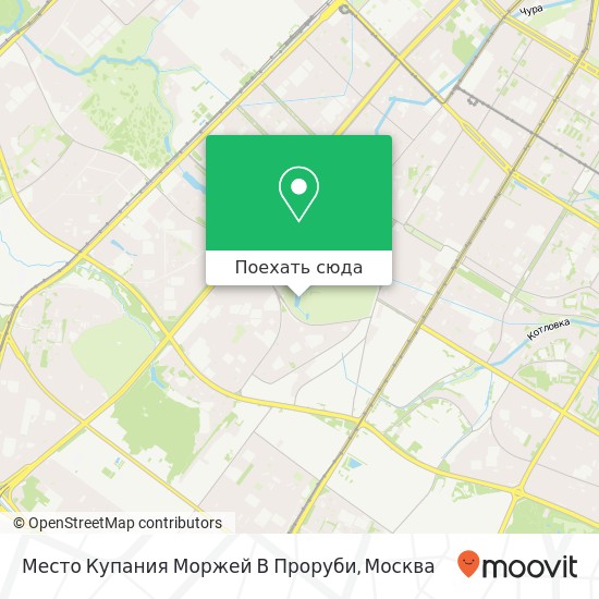 Карта Место Купания Моржей В Проруби