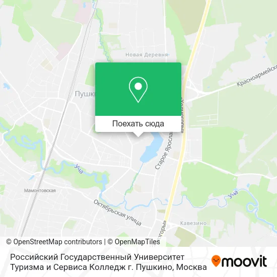 Карта Российский Государственный Университет Туризма и Сервиса Колледж г. Пушкино