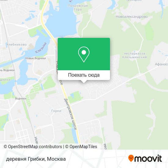 Карта деревня Грибки