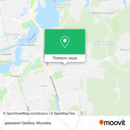 Карта деревня Грибки