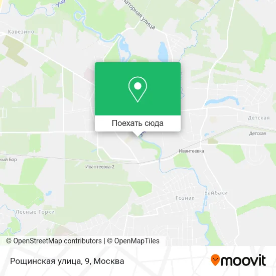 Карта Рощинская улица, 9