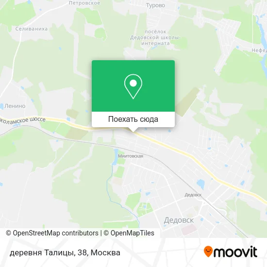 Карта деревня Талицы, 38