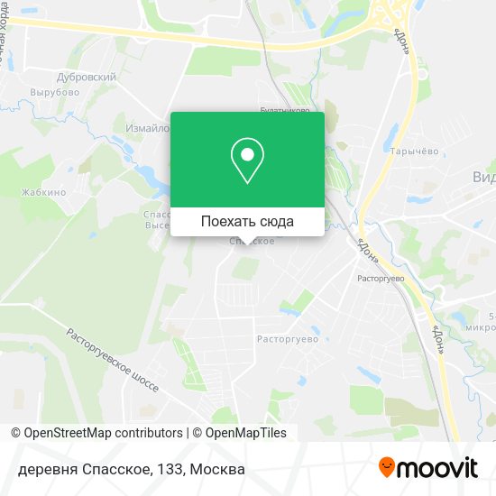 Карта деревня Спасское, 133
