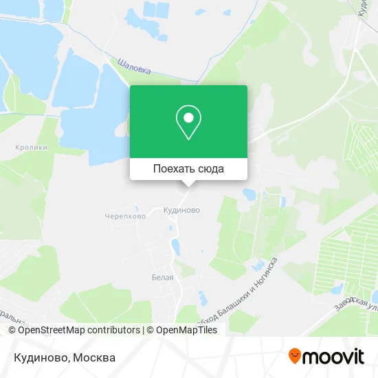 Карта Кудиново