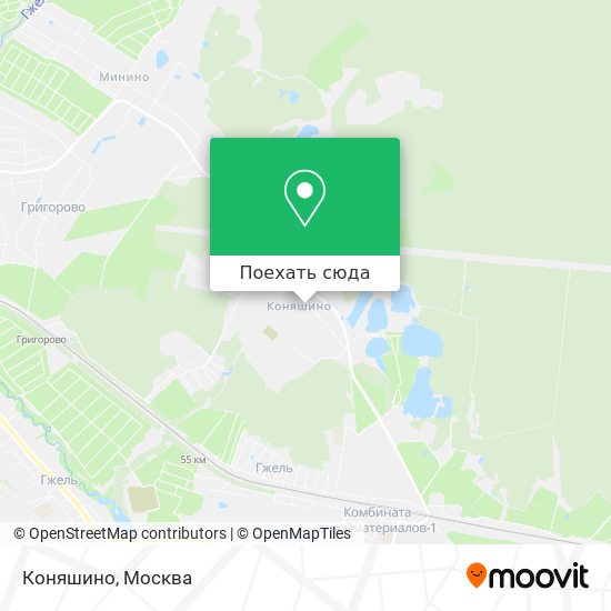 Карта Коняшино