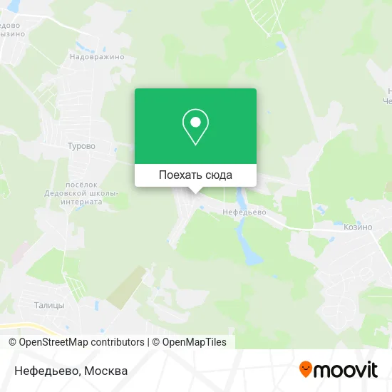 Карта Нефедьево