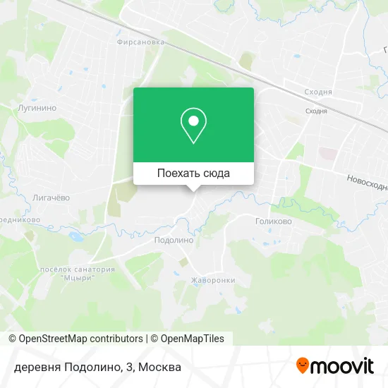 Карта деревня Подолино, 3