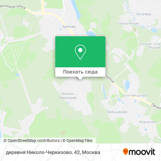 Карта деревня Николо-Черкизово, 42