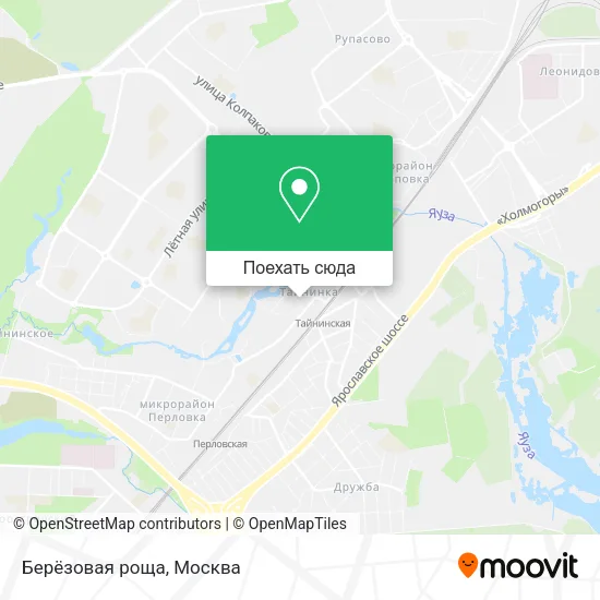 Карта Берёзовая роща