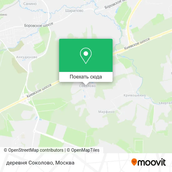 Карта деревня Соколово