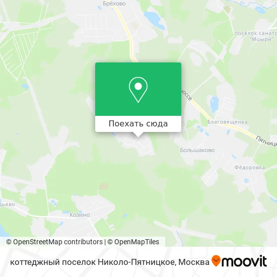 Карта коттеджный поселок Николо-Пятницкое