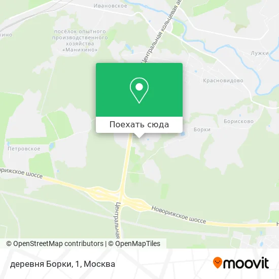 Карта деревня Борки, 1