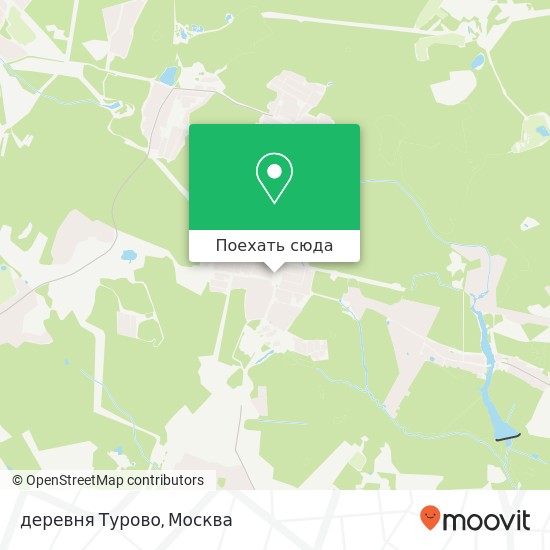 Карта деревня Турово