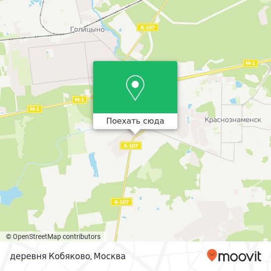 Карта деревня Кобяково