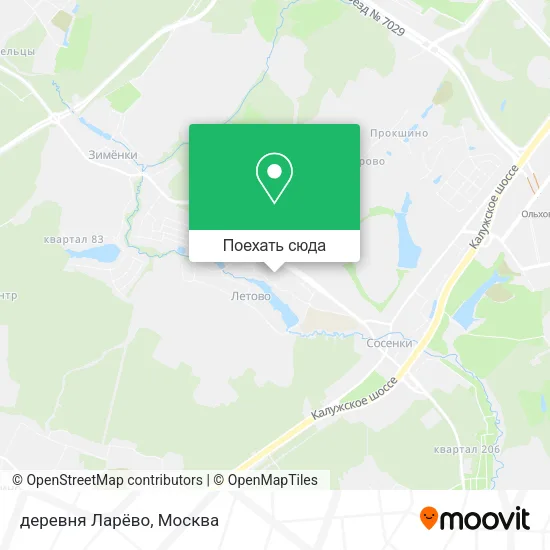 Карта деревня Ларёво