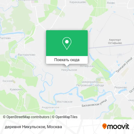 Карта деревня Никульское
