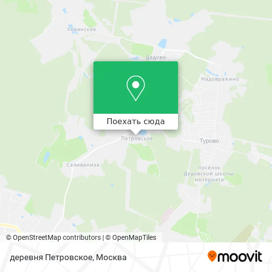 Карта деревня Петровское