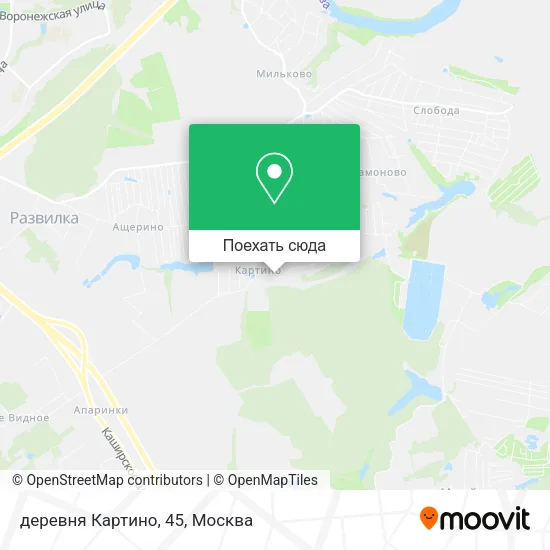 Карта деревня Картино, 45