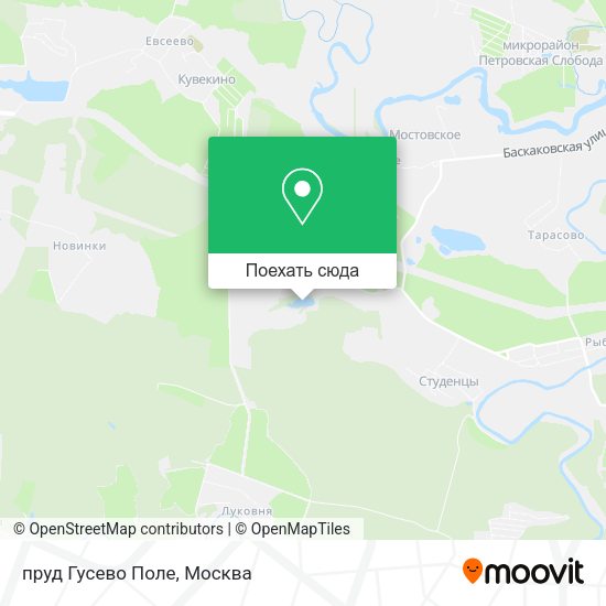 Карта пруд Гусево Поле
