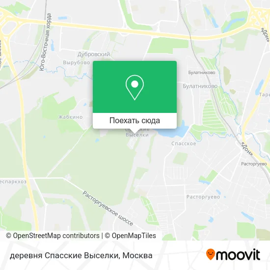 Карта деревня Спасские Выселки