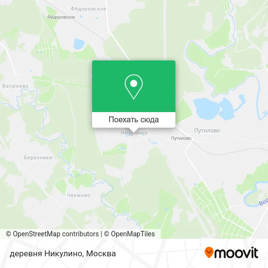 Карта деревня Никулино