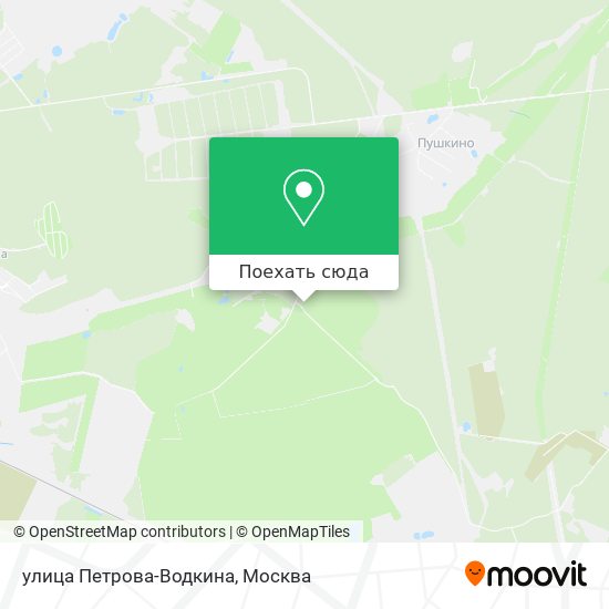 Карта улица Петрова-Водкина