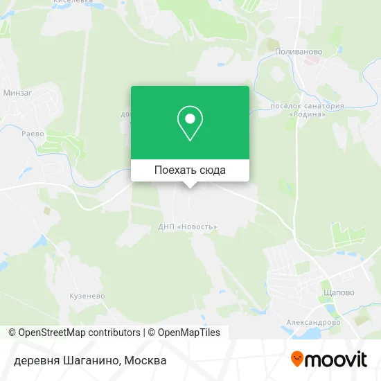 Карта деревня Шаганино