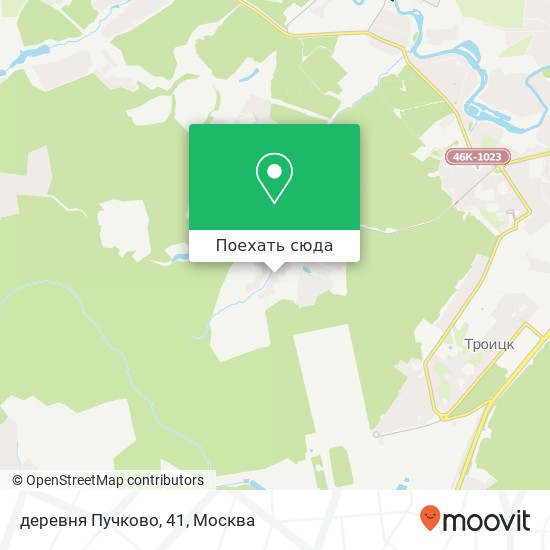 Карта деревня Пучково, 41