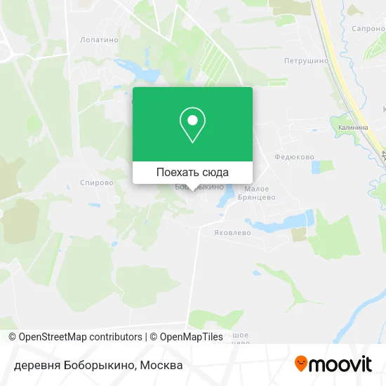 Карта деревня Боборыкино