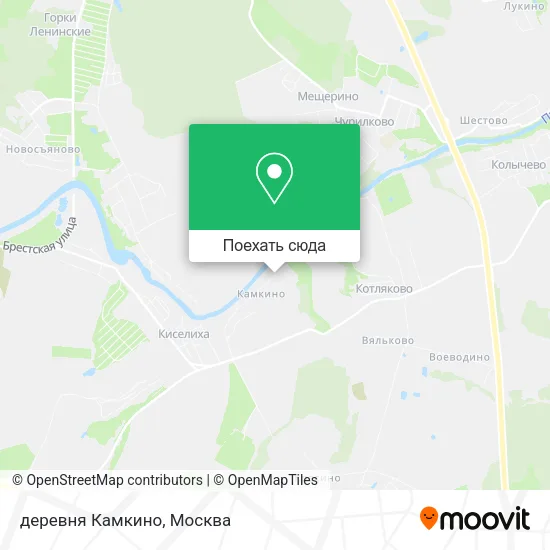 Карта деревня Камкино