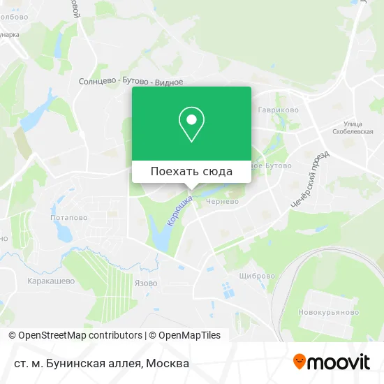 Карта ст. м. Бунинская аллея