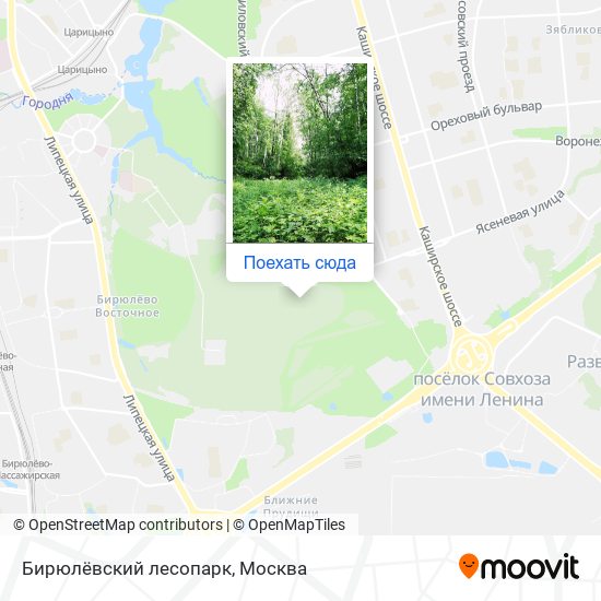 Карта Бирюлёвский лесопарк
