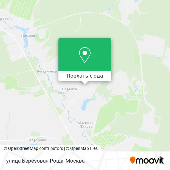 Карта улица Берёзовая Роща